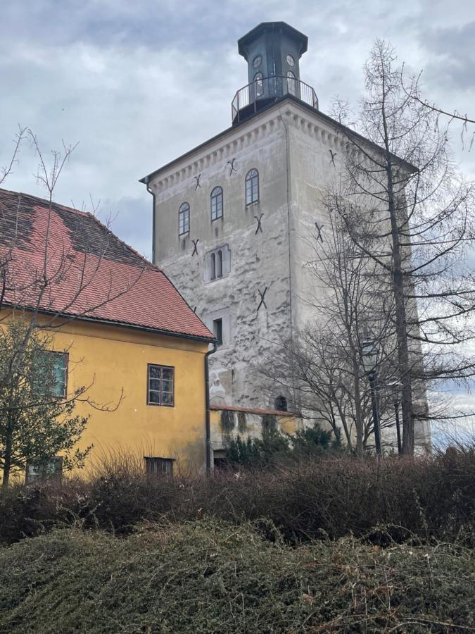 Grich Witch Apartment Zagreb Exteriör bild